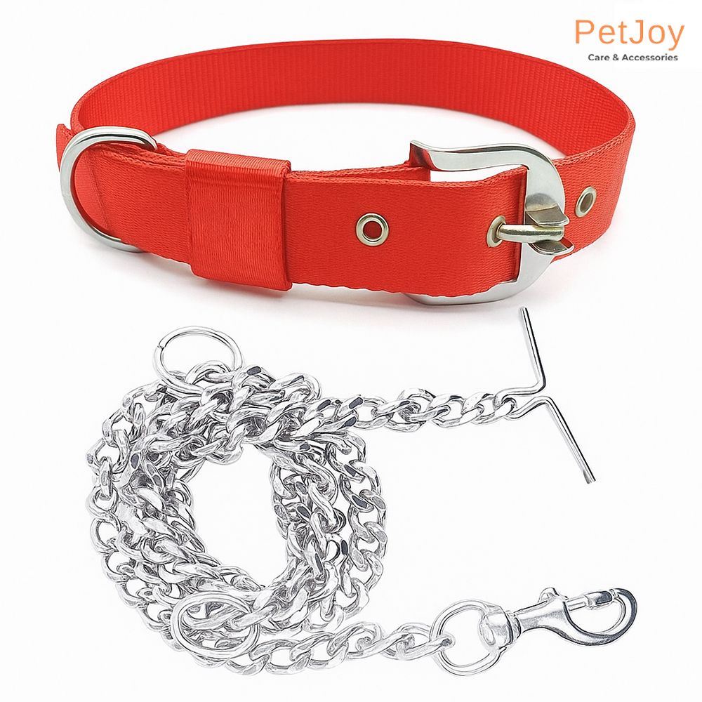 petjoy Combo Dog Belt 160 cm Dog Chain Leash-picture-13