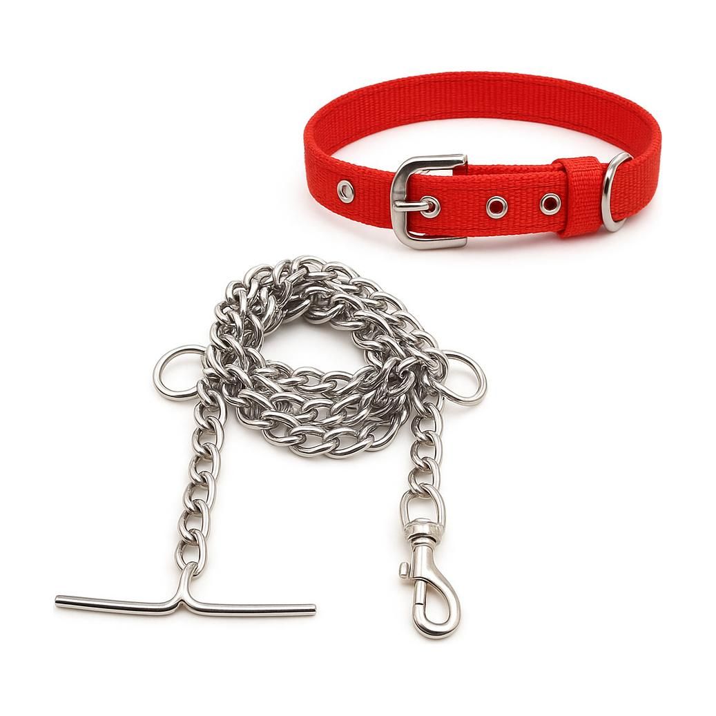 petra Dog chain combo for small puppy collar set 152 cm Dog Chain Leash-picture-17