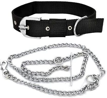 Smart Doggie Dog Collar Nylon with chain For Small Dog NOT FOR PUPPY 25 cm Dog Chain Leash-image-45