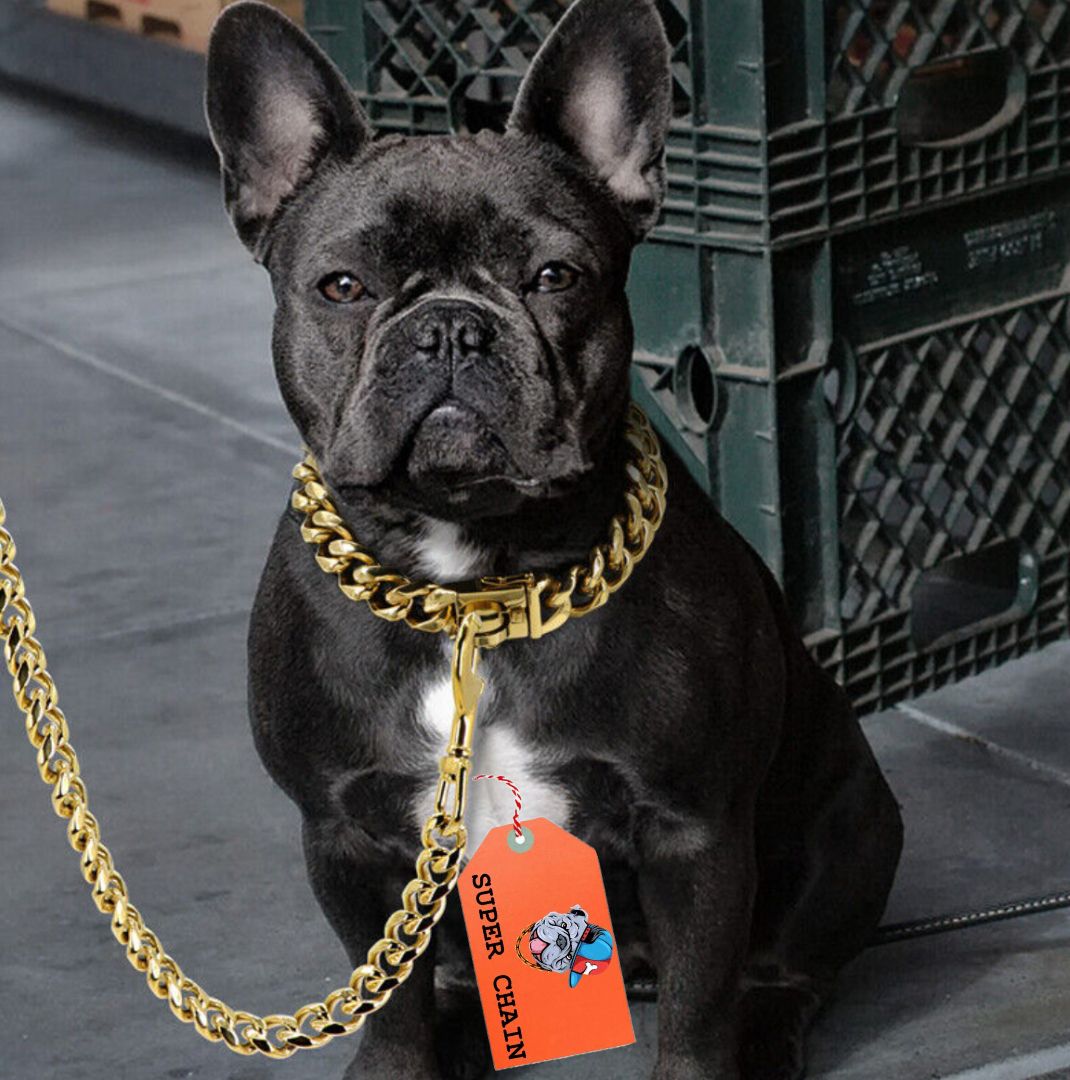 GOLD Heavy Weight Diamond Cut Heavy Duty (MEDIUM) Dog Gold Chain 160 cm Dog Chain Leash-image-42