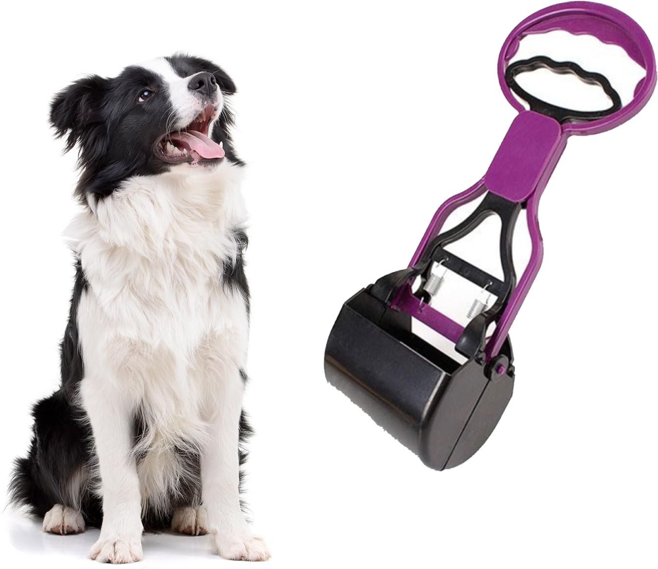 Dogs Litter Scoop-image-19
