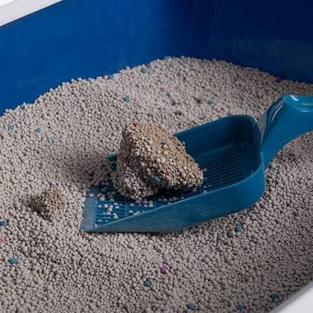 CAT LITTER 25 KG Pet Litter Tray Refill