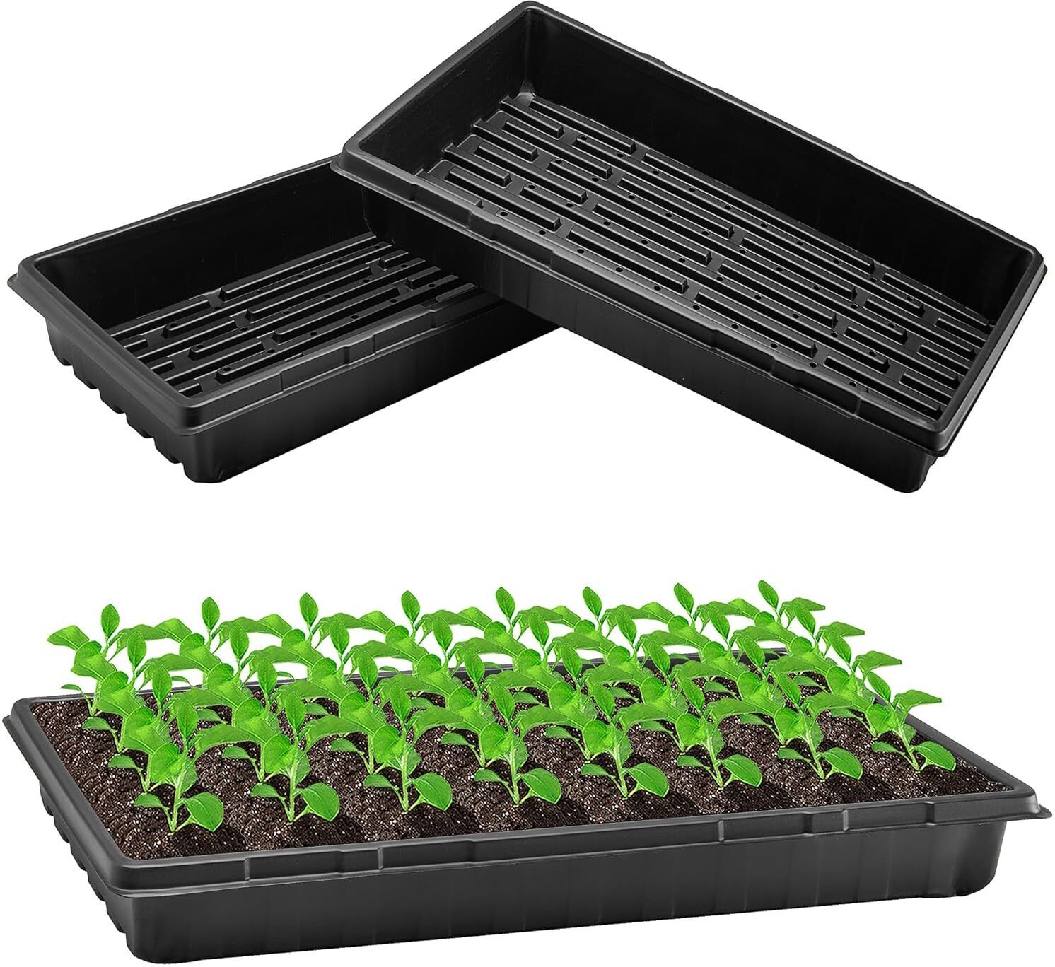 bethlehem 20x10 Inch Seedling Hydroponic Tray with Drain Holes Black Plastic (Pack 5) Pet Litter Tray Refill-picture-20