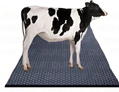 owlix Cow mat Premium Black 24 mm Cow, Dog, Hamster, Guinea Pig, Miniature Pig Pet Mat-picture-36