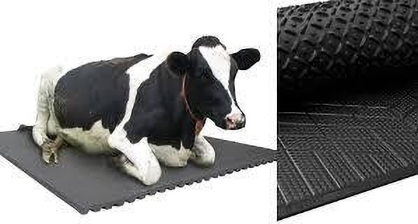 haryana jindal Long Lasting Cow Mat, use for Buffalo Bull and Horses (8X5) BPA Free Cow, Dog, Hamster, Guinea Pig, Miniature Pig Pet Mat-picture-46