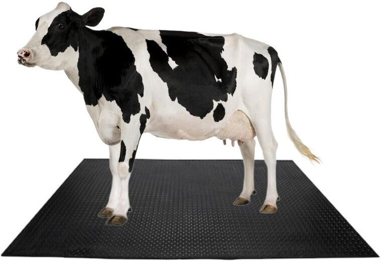 COW MAT-Waterproof Rubber (Mat 8*5 Feet) BPA Free For Horse | Cow, Dog, Hamster, Guinea Pig, Miniature Pig Pet Mat-image-24