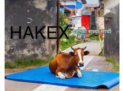 hakex COW MAT-Waterproof Rubber(Mat 8*5 Feet)BPA Free For Horse-G Cow, Dog, Hamster, Guinea Pig, Miniature Pig Pet Mat-picture-28