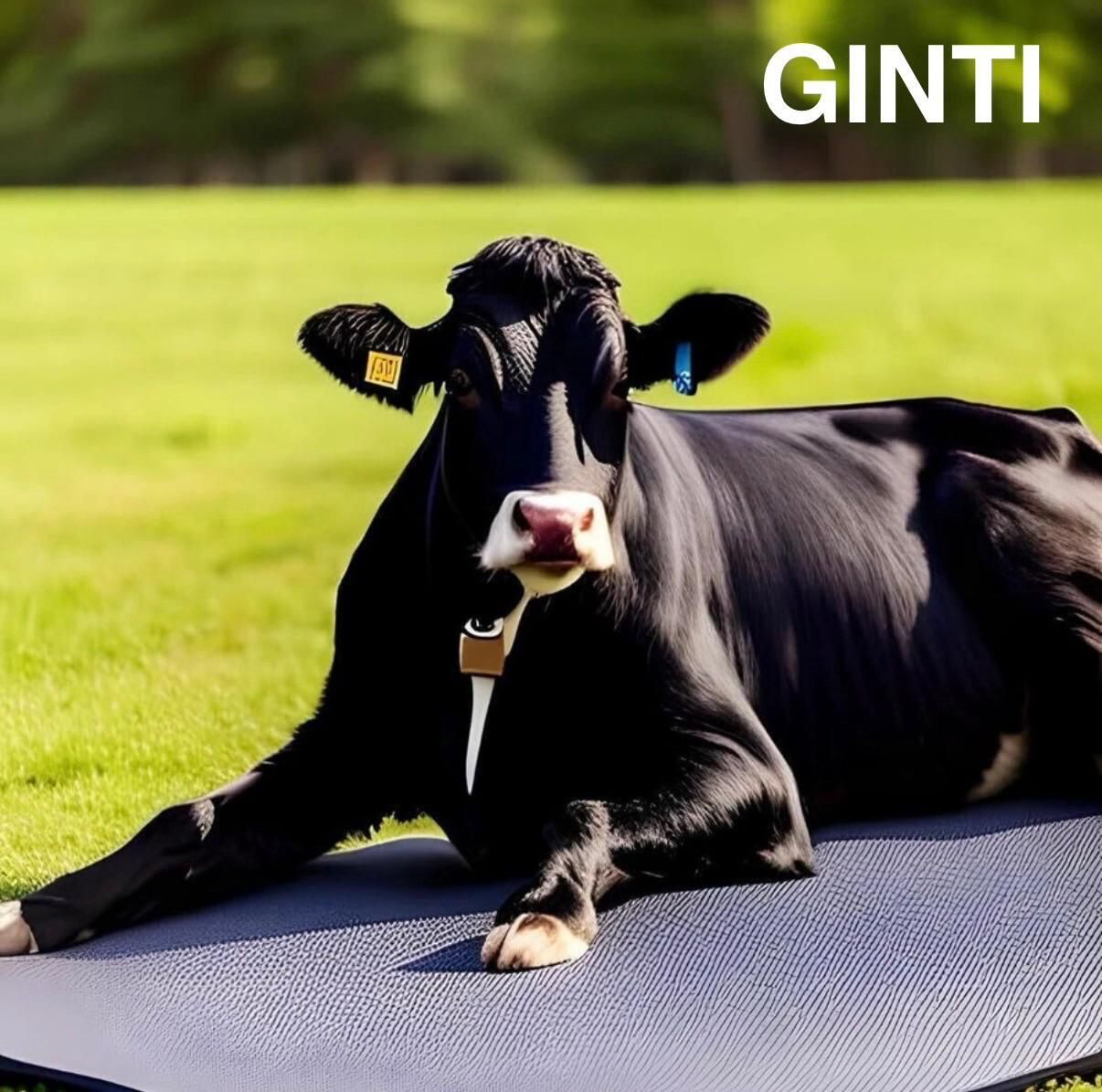 Barn Grip Premium Rubber Pet Mat Cat, Cow, Dog, Guinea Pig, Hamster, Miniature Pig, Rabbit, Tortoise Pet Mat-image-19