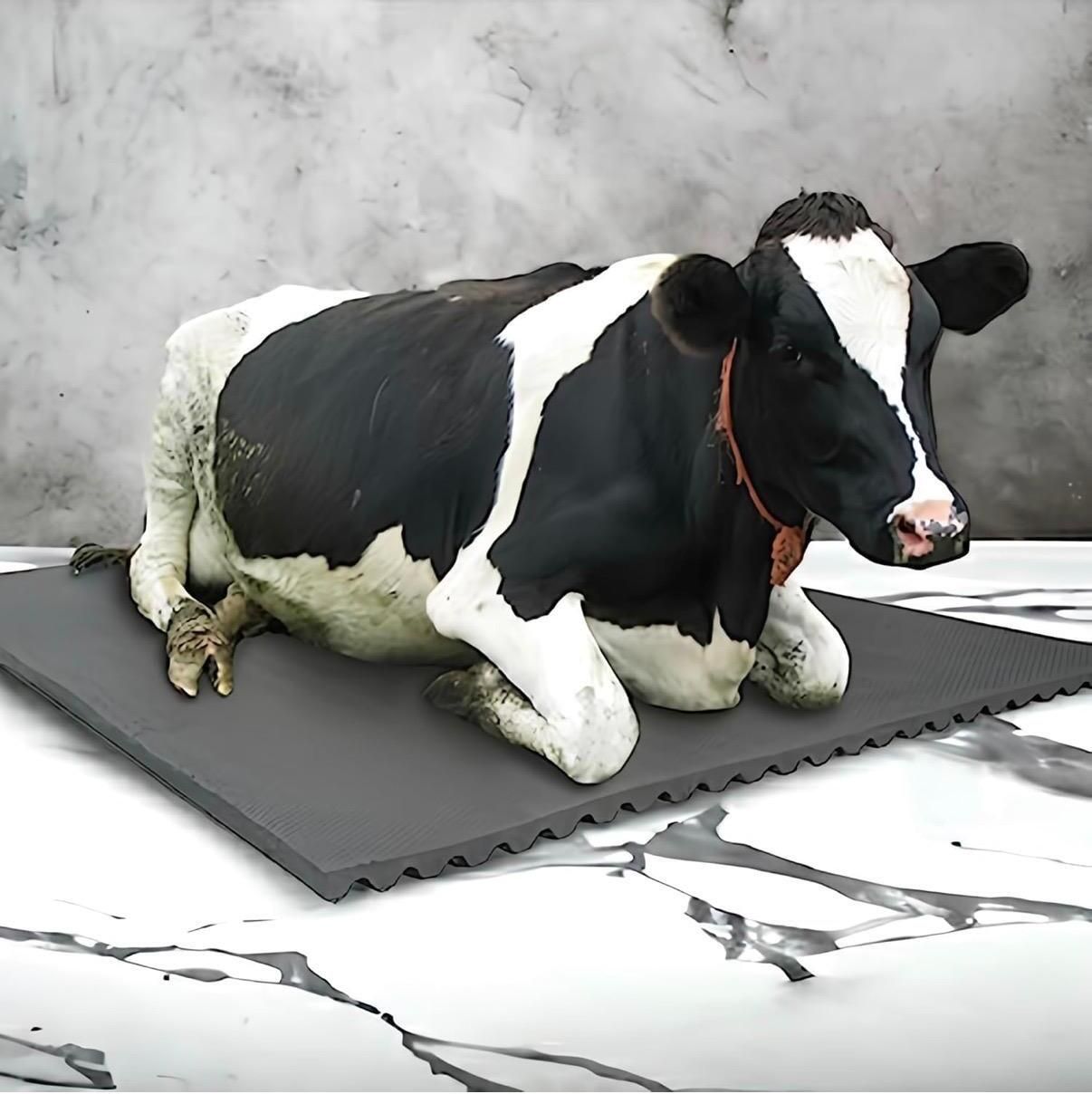 ginti Heavy Duty Rubber Flooring Mat for Cow and Buffalo Shelter Cat, Cow, Dog, Guinea Pig, Hamster, Miniature Pig, Rabbit, Tortoise Pet Mat-picture-14