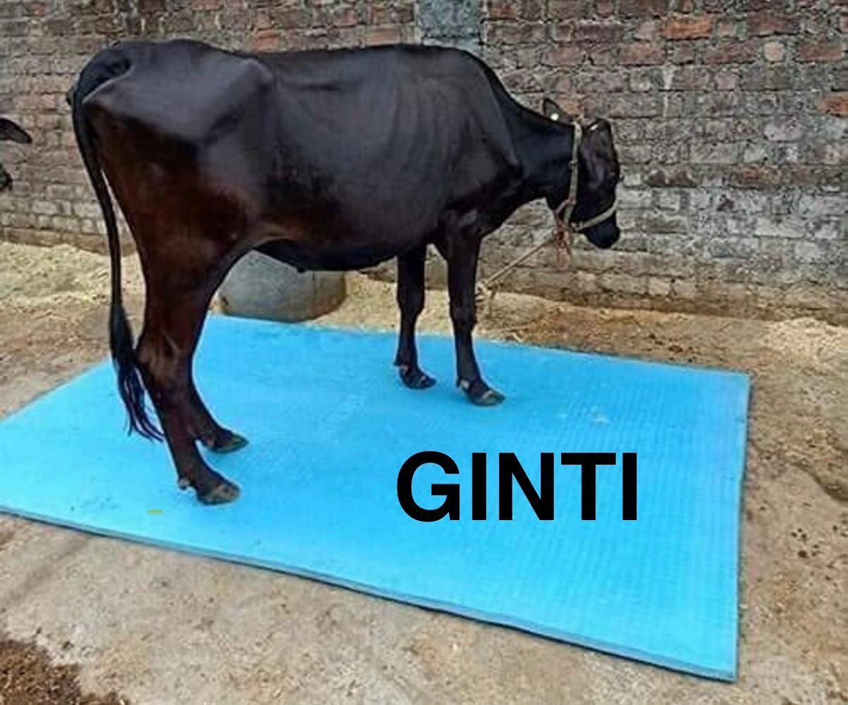ginti Farm Guard Deluxe Mat For Cow, Buffalo, Cat, Pig, Etc. Cat, Cow, Dog, Guinea Pig, Hamster, Miniature Pig, Rabbit, Tortoise Pet Mat-picture-30