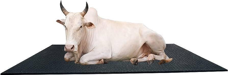 fitdex Cow Mat, Mat for Cow, Buffalo, Bull,Horse & All Animal( black) 24 mm Cow, Dog, Hamster, Guinea Pig, Miniature Pig Pet Mat-picture-27