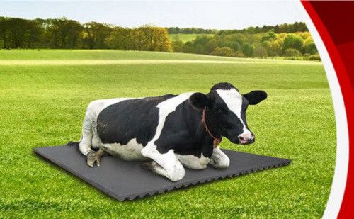 Black Rubber Cow Matting Cow, Dog, Hamster, Guinea Pig, Miniature Pig Pet Mat-image-20