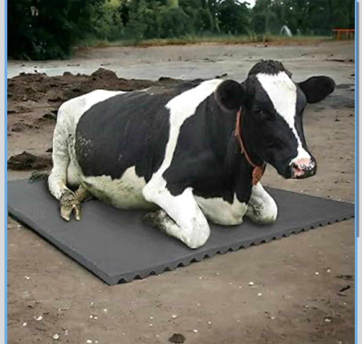 ginti Barn Comfort Mat Soft Support Flooring for Cows and Buffaloes Cat, Cow, Dog, Guinea Pig, Hamster, Miniature Pig, Rabbit, Tortoise Pet Mat-picture-18