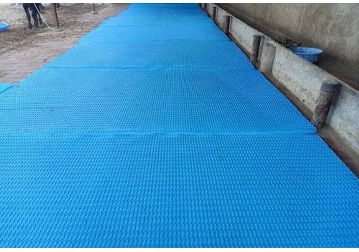 house of common Heavy Thickness Rubber Cow Mat for Dairy Farm Animal Cat, Cow, Dog, Guinea Pig, Hamster, Miniature Pig, Rabbit, Tortoise Pet Mat-picture-25