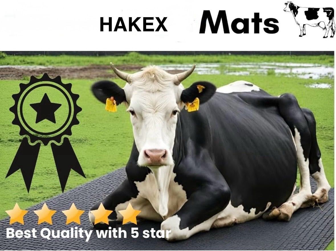 hakex A50Black Cow Mat For all animals, BPA Free, Easy Clean And Waterproof Size 8*5 | Cow, Hamster Pet Mat-picture-17
