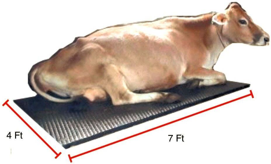 ursus COW Mats for Dairy Cows Cow, Dog, Guinea Pig, Hamster, Miniature Pig Pet Mat-picture-16