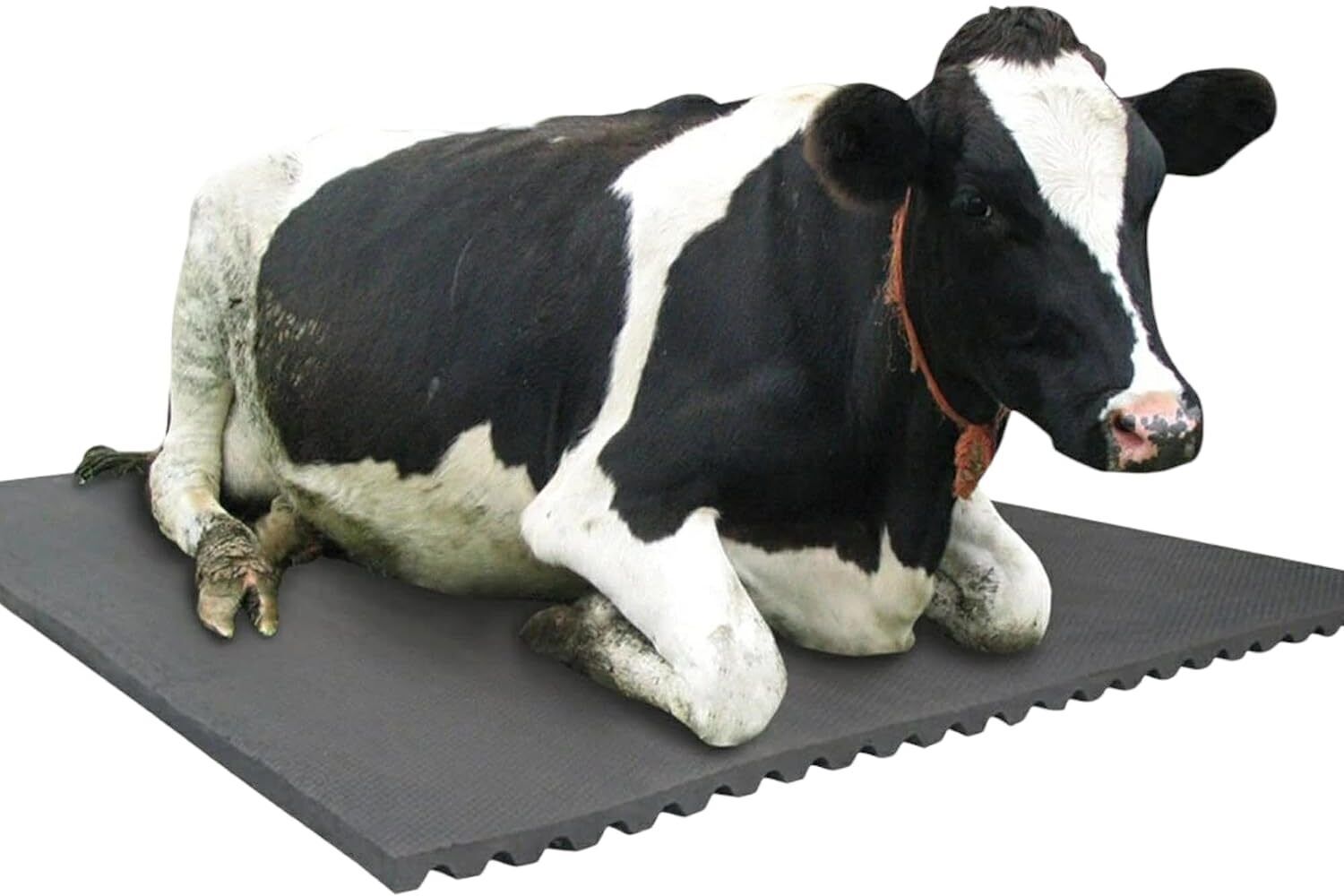 COW Animal Feeding Waterproof Rubber mat BPA Free for Cow, Buffalo, BLACK Cow, Dog, Hamster, Guinea Pig, Miniature Pig Pet Mat-image-35
