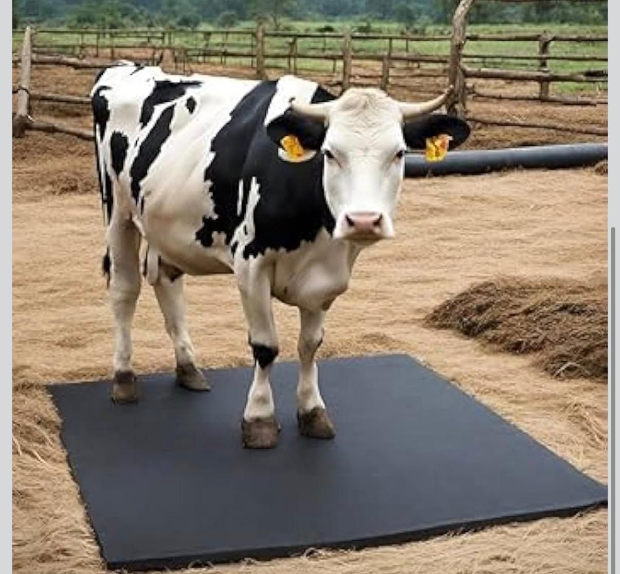 ginti High Quality Rubber Cow Mat for Dairy Farm Flooring Applications Cat, Cow, Dog, Guinea Pig, Hamster, Miniature Pig, Rabbit, Tortoise Pet Mat-picture-12