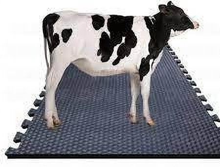 elfera cowmat Cow Mat | Color-Black | 6(ft) x 4 (ft) x 17(mm) 4XL Pet Bed (black) Cow, Dog, Guinea Pig, Hamster, Miniature Pig Pet Mat-picture-22