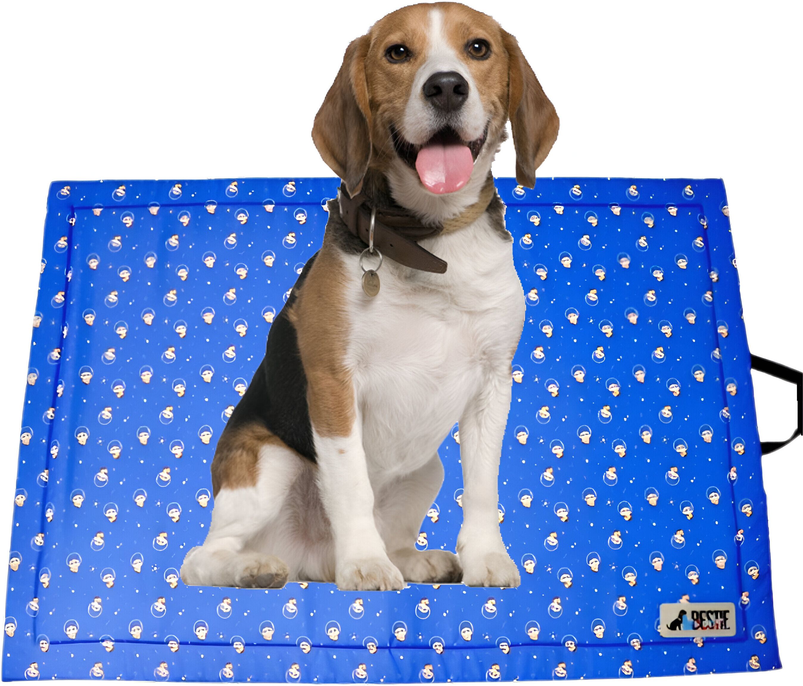 bestie Large Orthopedic Dog Mat, Washable, Rectangular, Non-skid, 36X24 Inches Cat, Dog, Rabbit, Hamster, Guinea Pig Pet Mat-picture-22