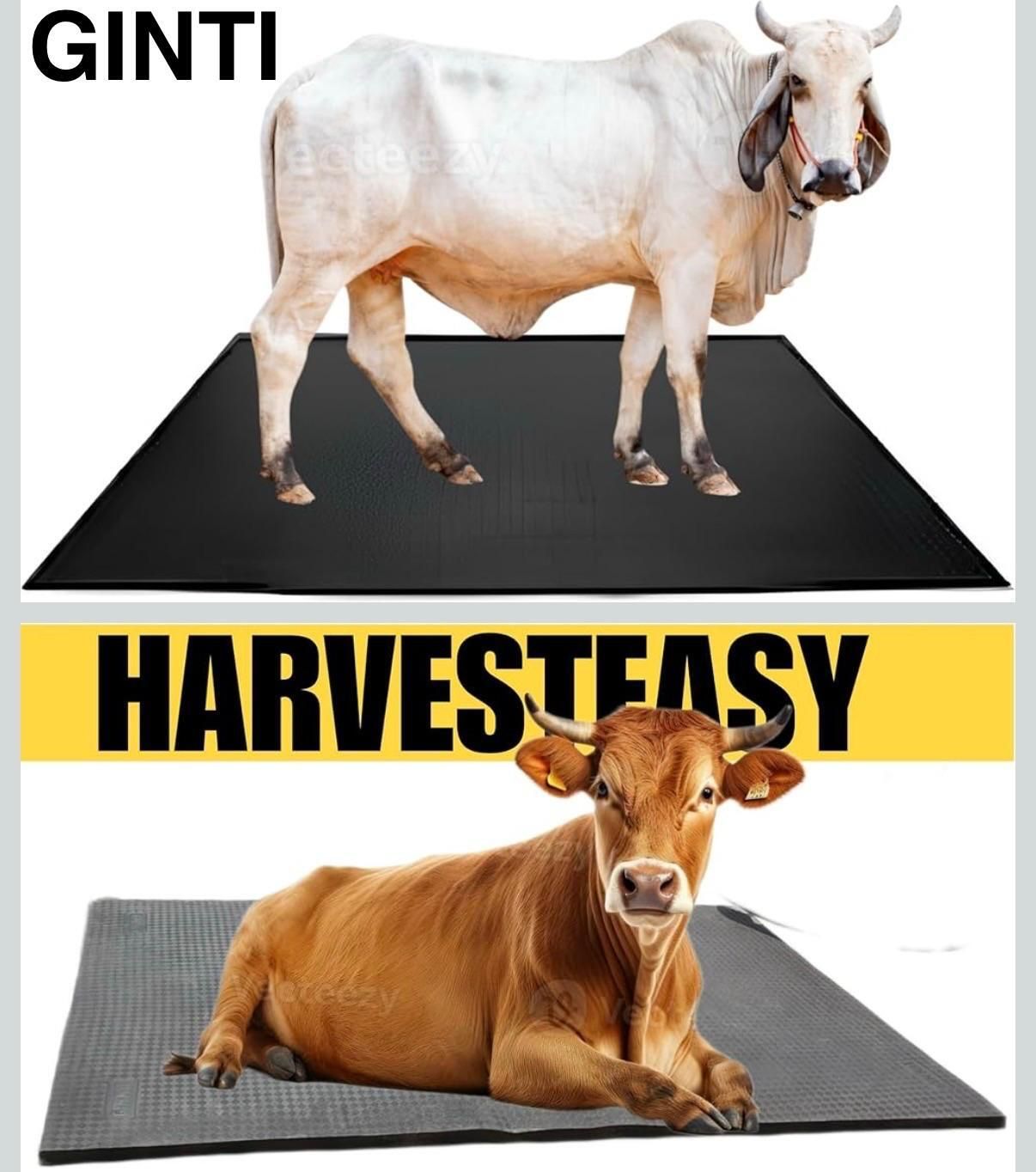 Barn Plus Cow Mat Cat, Cow, Dog, Guinea Pig, Hamster, Miniature Pig, Rabbit, Tortoise Pet Mat-image-37