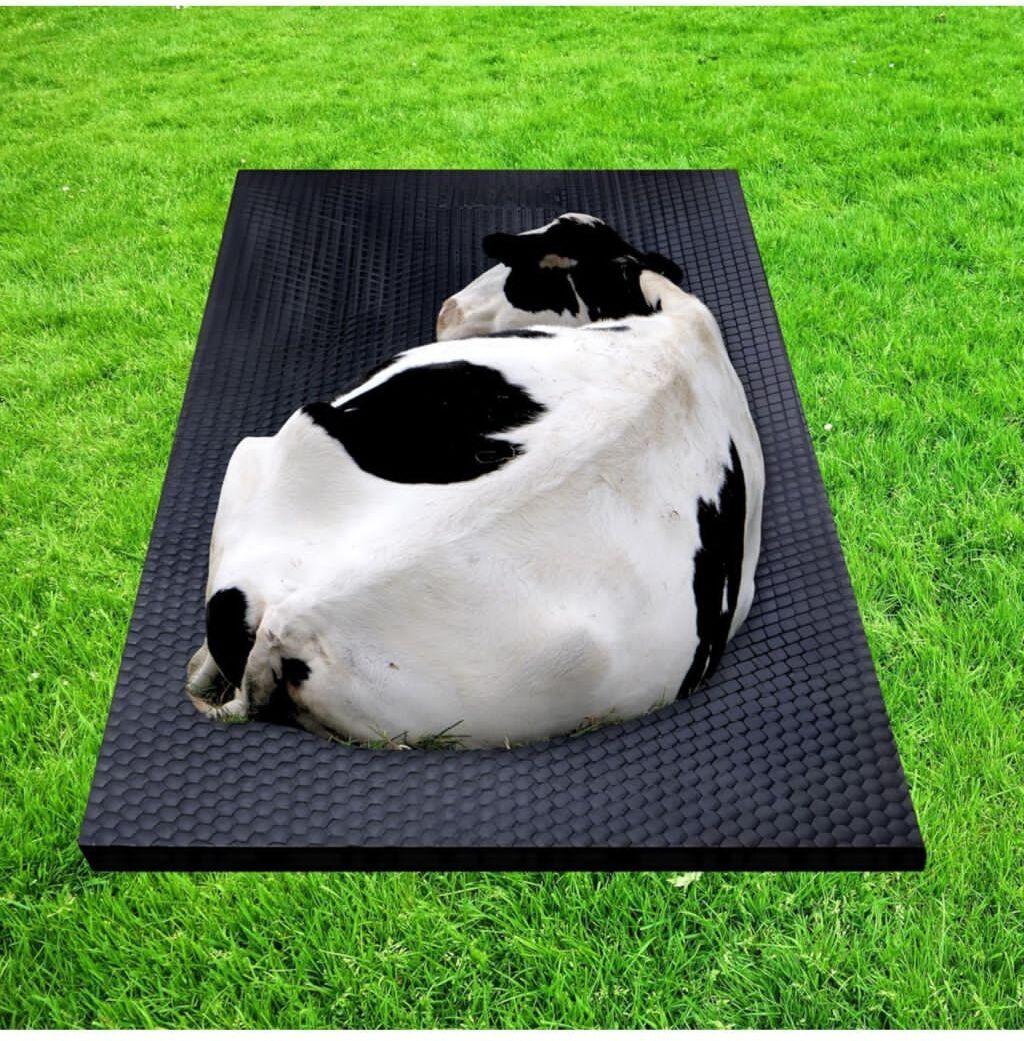 hakex A72Black Cow Mat For all animals, BPA Free, Easy Clean And Waterproof Size 8*5 | Cow, Hamster Pet Mat-picture-48