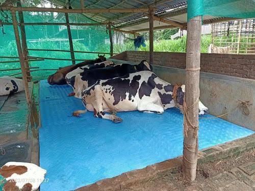 Cow Mat Waterproof Rubber Mat-8*5 Feet BPA Free For Horse Cow, Dog, Hamster, Guinea Pig, Miniature Pig Pet Mat-image-13