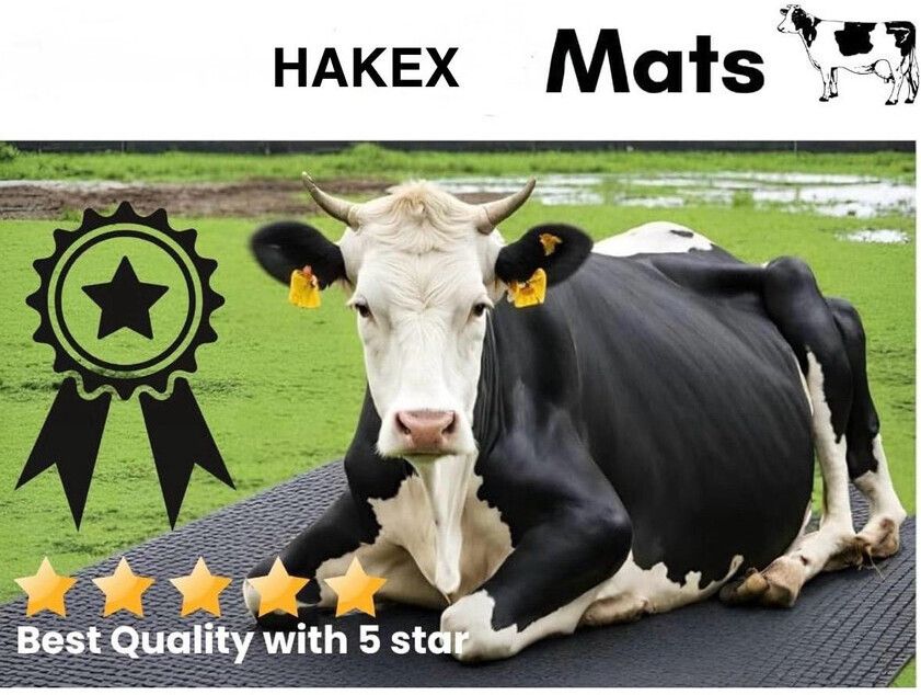 hakex COW MAT-Waterproof Rubber(Mat 8*5 Feet)BPA Free For Horse-AW | Cow, Dog, Hamster, Guinea Pig, Miniature Pig Pet Mat-picture-35