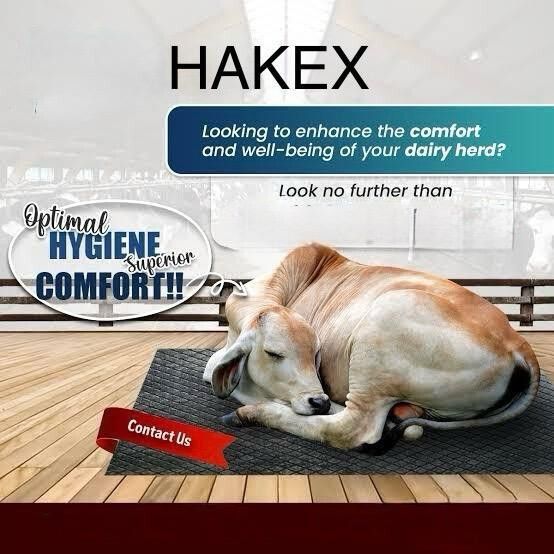 Cow_Mat Waterproof Rubber Mat 8*5 Feet BPA Free For Horse| | Cow, Dog, Hamster, Guinea Pig, Miniature Pig Pet Mat-image-26