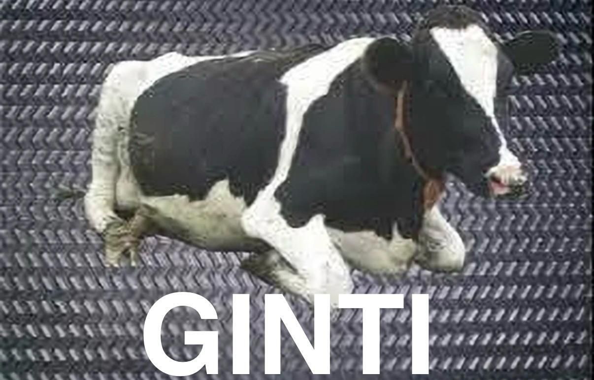 ginti Livestock Safe Cow Mat Durable Dairy Farm Surface Cat, Cow, Dog, Guinea Pig, Hamster, Miniature Pig, Rabbit, Tortoise Pet Mat-picture-19
