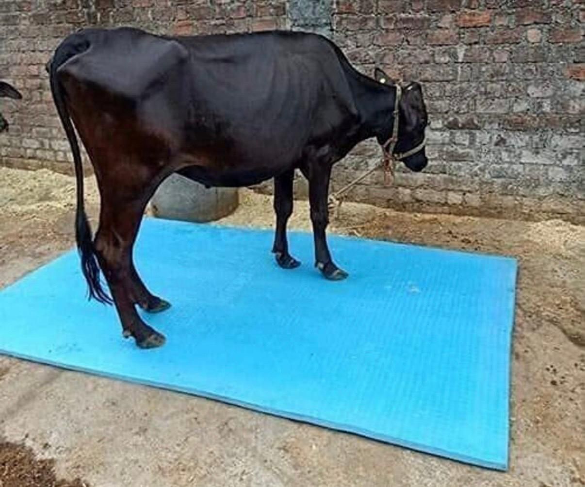 High Density Cow Mat for Dairy Farm Buffalo Shed Durable Rubber Floor Mat Cat, Cow, Dog, Guinea Pig, Hamster, Miniature Pig, Rabbit, Tortoise Pet Mat-image-47