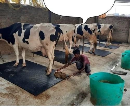 hakex Cow Mat Waterproof-Rubber-Mat-8*5 Feet BPA Free For Horse- Cow, Dog, Hamster, Guinea Pig, Miniature Pig Pet Mat-picture-16