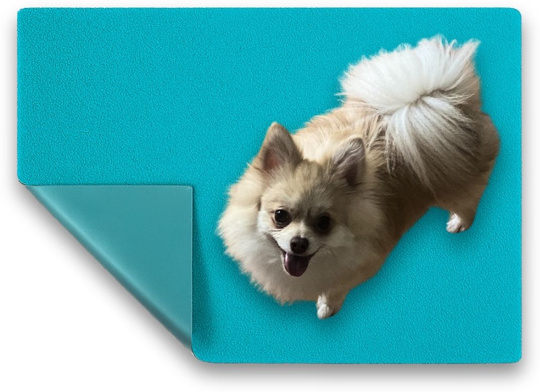 Microfiber Dry Sheet for Pets Sky Blue Dog, Cat, Rabbit Pet Mat-image-35