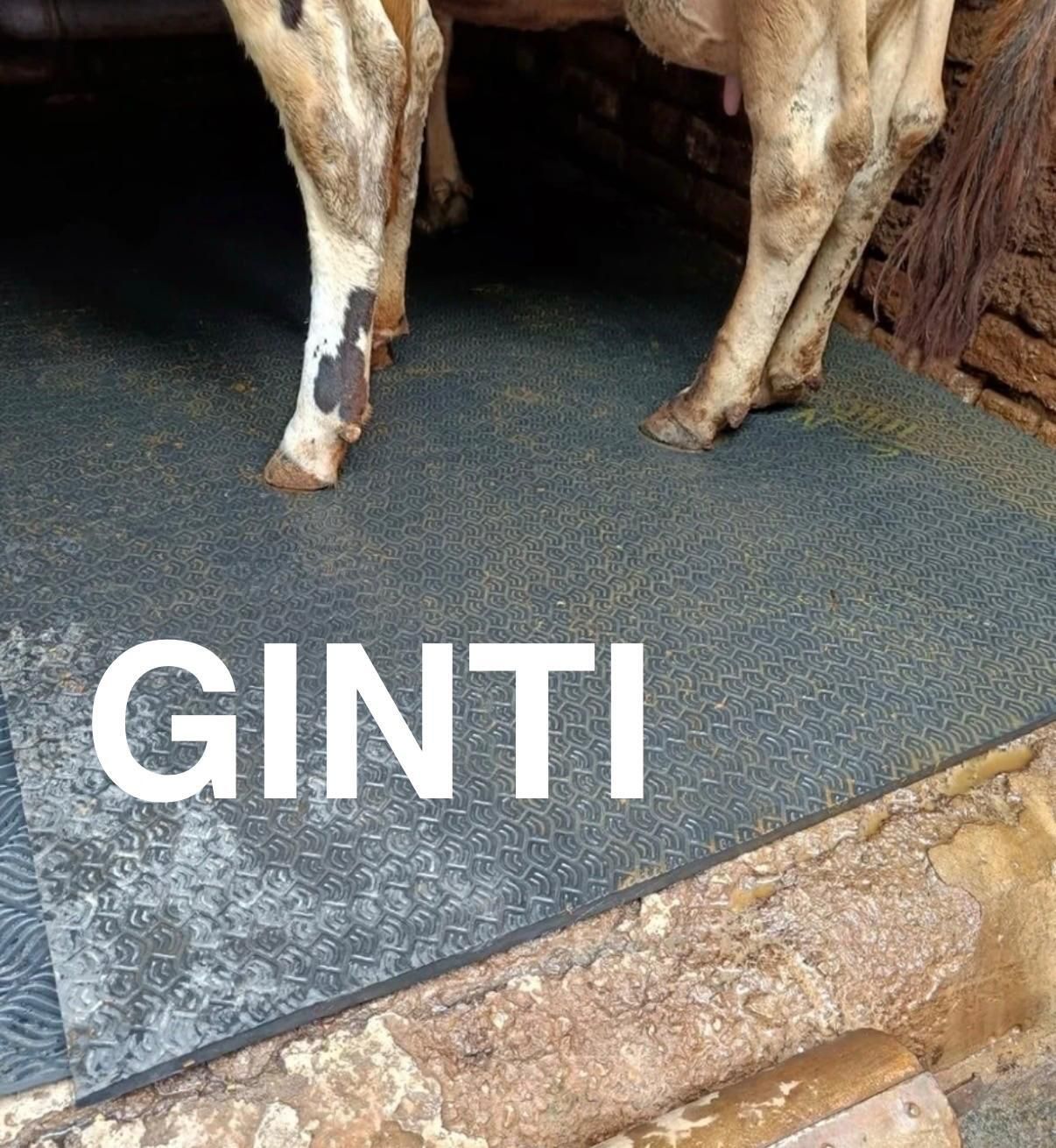 ginti Cow House Rubber Flooring Mat(Black) Cat, Cow, Dog, Guinea Pig, Hamster, Miniature Pig, Rabbit, Tortoise Pet Mat-picture-22