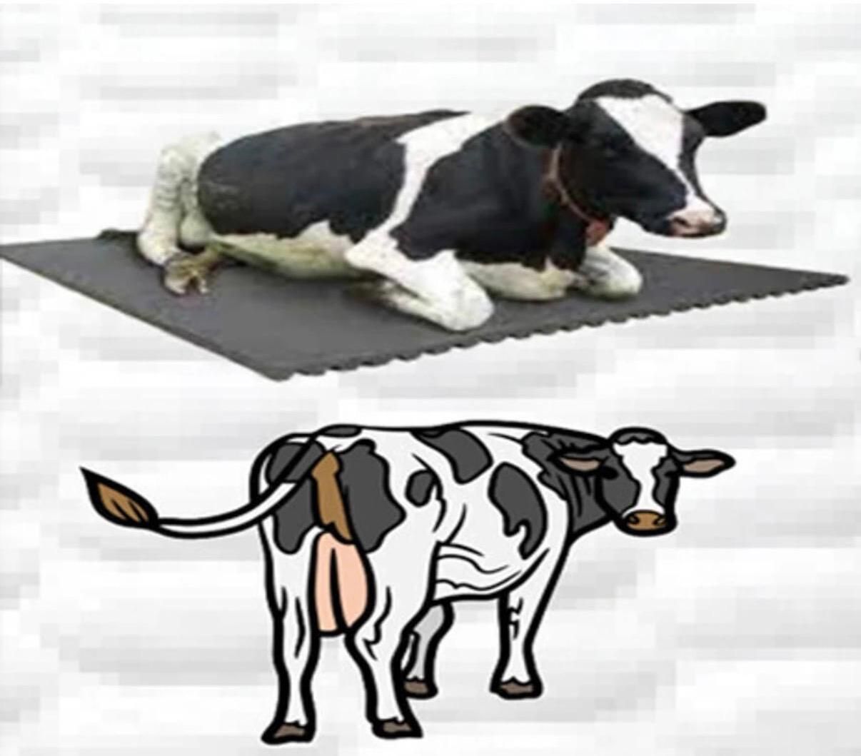 ginti Barn Comfort Plus Cow Mat Heavy Duty Rubber Support Cat, Cow, Dog, Guinea Pig, Hamster, Miniature Pig, Rabbit, Tortoise Pet Mat-picture-25