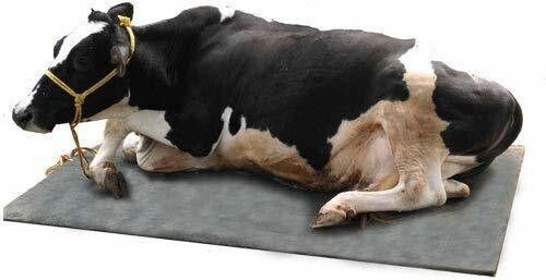 mgntt Waterproof, Raised Edges, Mat for Cows Mat for Animal (Standard, Black) Cow, Hamster, Dog, Guinea Pig, Miniature Pig Pet Mat-picture-24