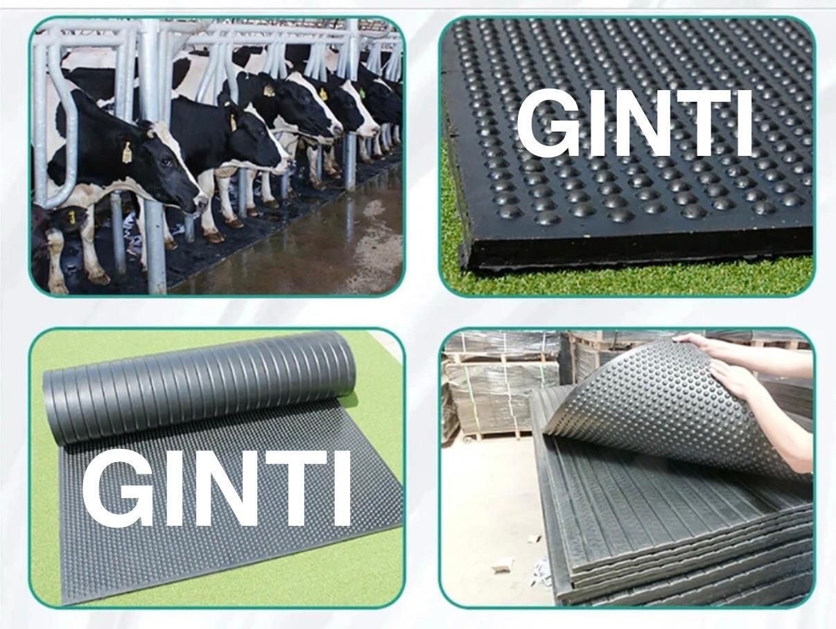 ginti Farm Rubber Mat for Dairy Cow Stall Flooring Cat, Cow, Dog, Guinea Pig, Hamster, Miniature Pig, Rabbit, Tortoise Pet Mat-picture-38