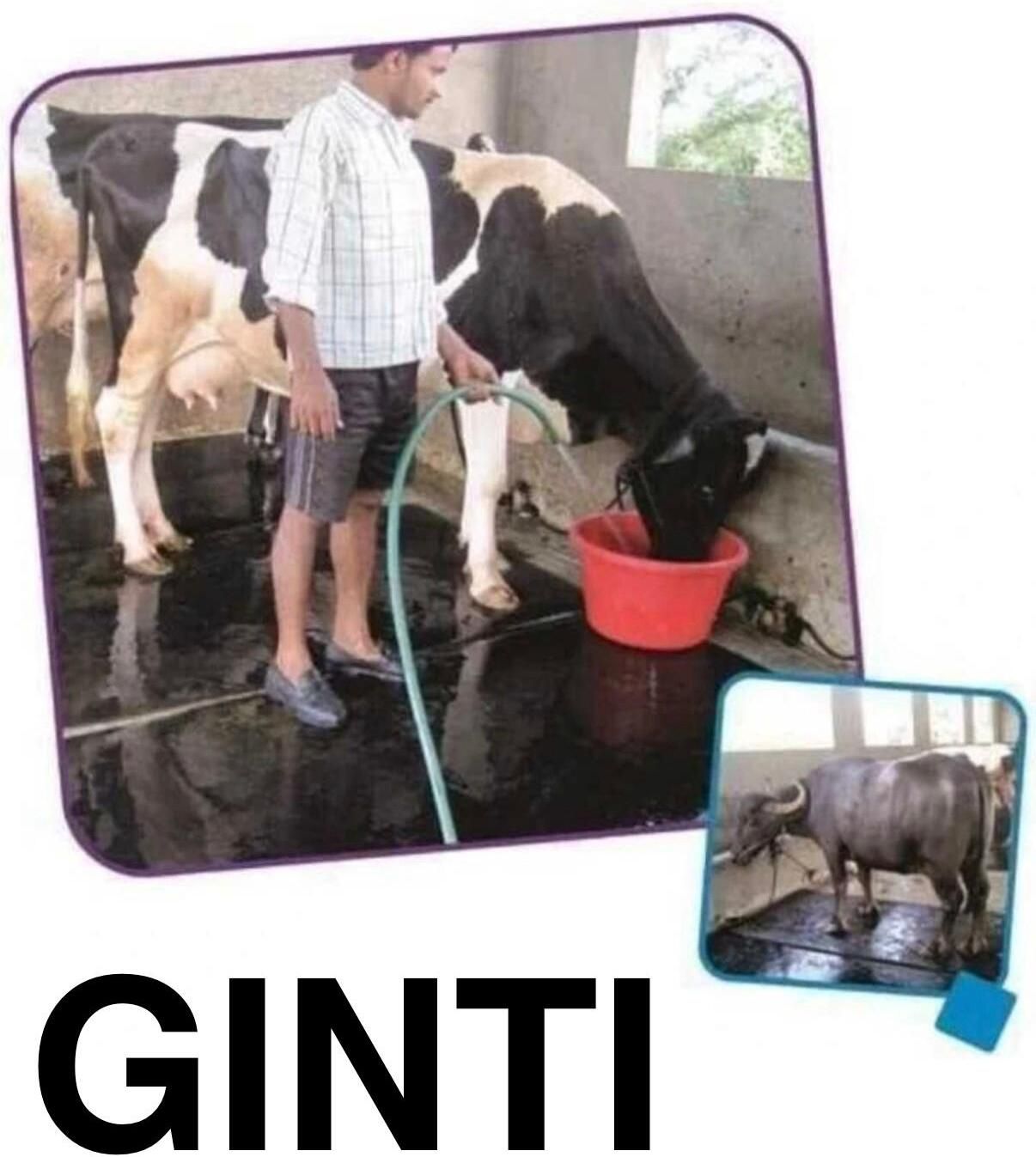 ginti Dairy Flooring Mat with Superior Grip Technology Cat, Cow, Dog, Guinea Pig, Hamster, Miniature Pig, Rabbit, Tortoise Pet Mat-picture-46