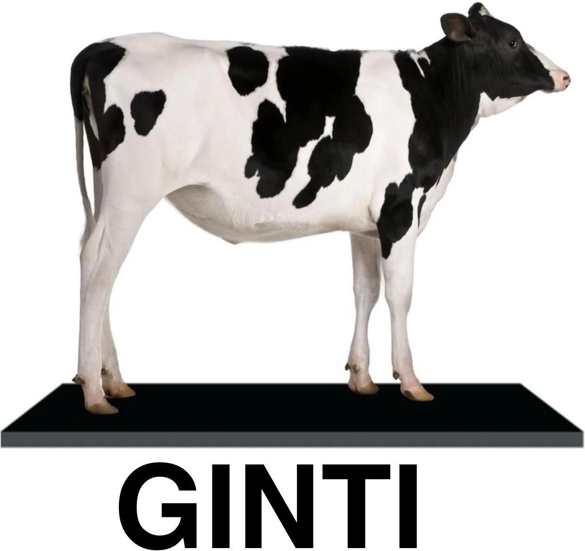 ginti Premium Rural Cow Mat High Density Rubber Support Cat, Cow, Dog, Guinea Pig, Hamster, Miniature Pig, Rabbit, Tortoise Pet Mat-picture-43