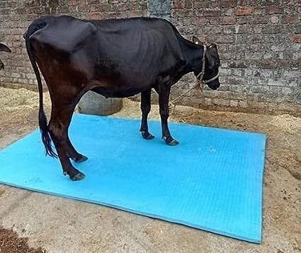 Cow Mat,Feeding Mat,BPA Free,Easy Clean,Dishwasher Safe,Waterproof,Raised Edges Cow, Dog, Guinea Pig, Hamster, Miniature Pig Pet Mat-image-44