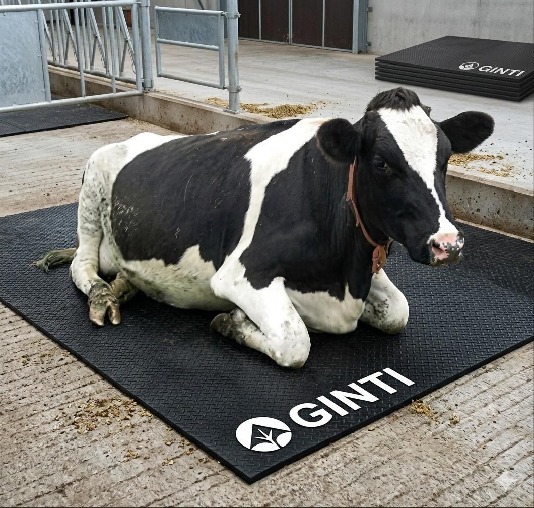 ginti Heavy Duty Cattle Comfort Rubber Mat Black Cat, Cow, Dog, Guinea Pig, Hamster, Miniature Pig, Rabbit, Tortoise Pet Mat-picture-47