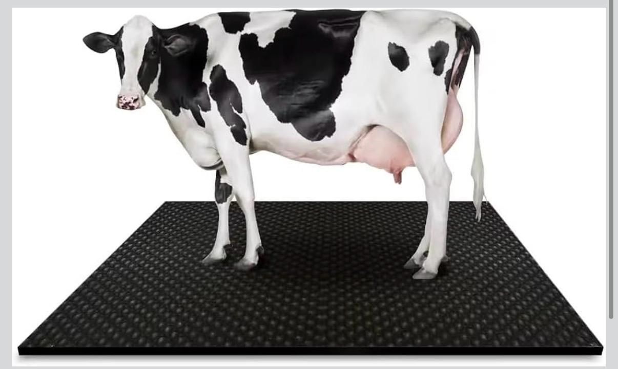 Waterproof Cow Mat for Buffalo Shed and Dairy Farm Use Cat, Cow, Dog, Guinea Pig, Hamster, Miniature Pig, Rabbit, Tortoise Pet Mat-image-44