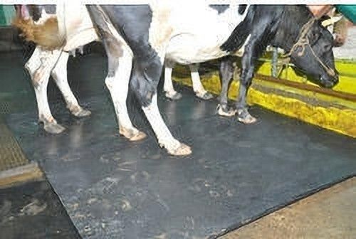 Feeding Cowmat Black BPA Free Waterproof With Raised Edges Cow, Dog, Guinea Pig, Hamster, Miniature Pig Pet Mat-image-37