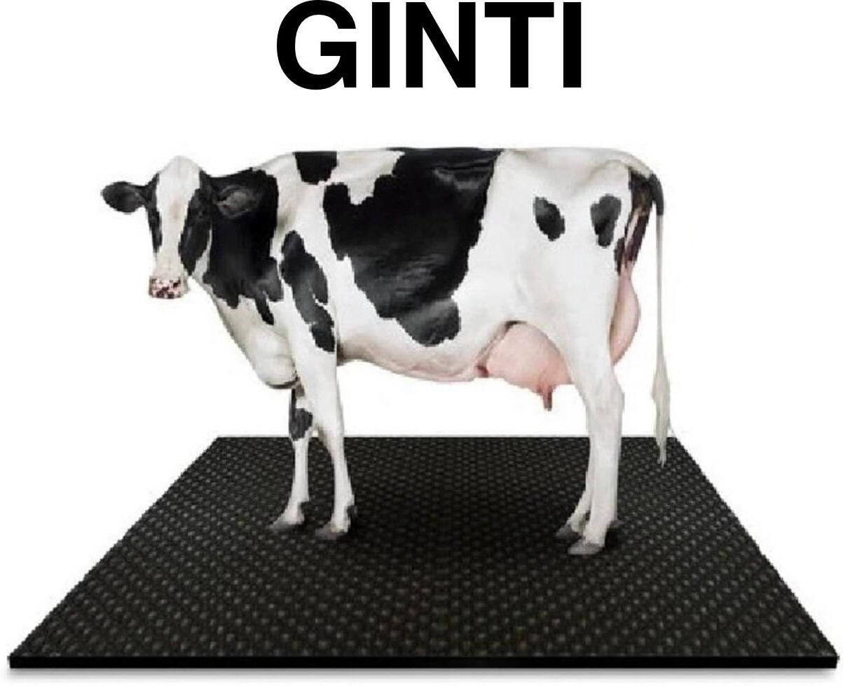 Comfort Pro Barn Pet Mat Cat, Cow, Dog, Guinea Pig, Hamster, Miniature Pig, Rabbit, Tortoise Pet Mat-image-37