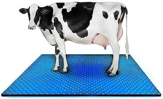 COW MAT-Waterproof Rubber(Mat 8*5 Feet)BPA Free For Horse-M Cow, Dog, Hamster, Guinea Pig, Miniature Pig Pet Mat-image-12