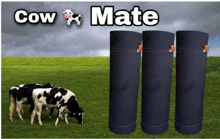 cow mat 8*5 Cow, Dog, Hamster, Guinea Pig, Miniature Pig Pet Mat