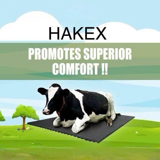 Cow_Mat Waterproof Rubber Mat 8*5 Feet BPA Free For Horse- Cow, Dog, Hamster, Guinea Pig, Miniature Pig Pet Mat-image-42