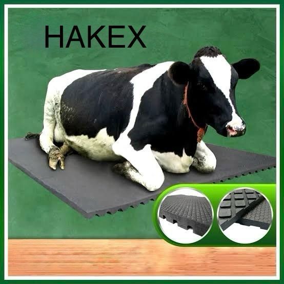 hakex A43Black Cow Mat For all animals, BPA Free, Easy Clean And Waterproof Size 8*5 | Cow, Hamster Pet Mat-picture-13