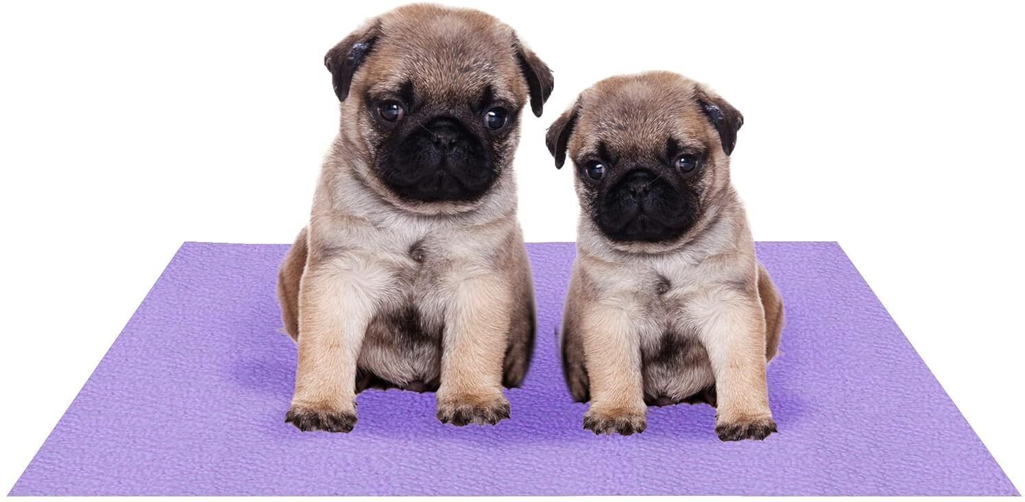 Reusable Washable Pee Pads-Puppies Washable Dog/Cat Diapers Violet Dog, Cat, Guinea Pig, Hamster, Miniature Pig, Rabbit, Tortoise Pet Mat-image-6