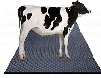 Cow mat Premium Black Cow, Dog, Hamster, Guinea Pig, Miniature Pig Pet Mat-image-19